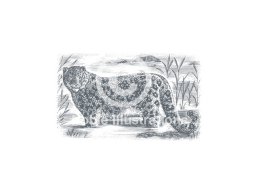snow leopard stock